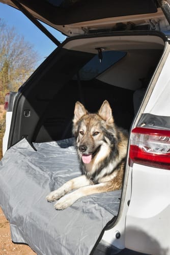 Customer photo review of SUV Cargo Liner for Fold Down Seats - Large