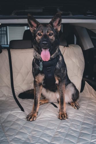 Customer photo review of SUV Cargo Liner for Fold Down Seats - Large