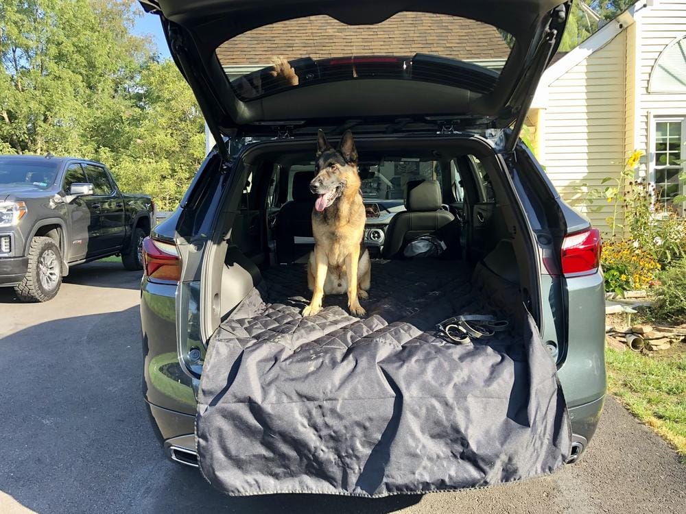Customer photo review of Cargo Liner for SUVs - Large