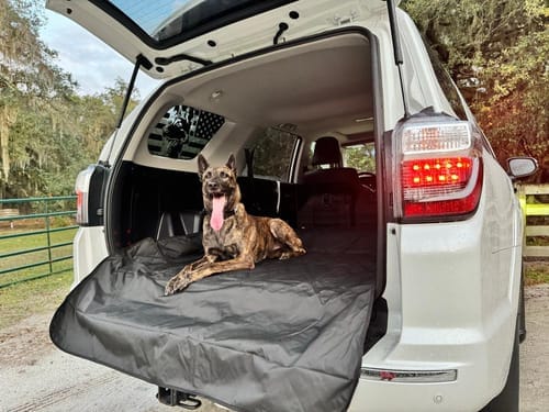 Customer photo review of SUV Cargo Liner for Fold Down Seats - Large