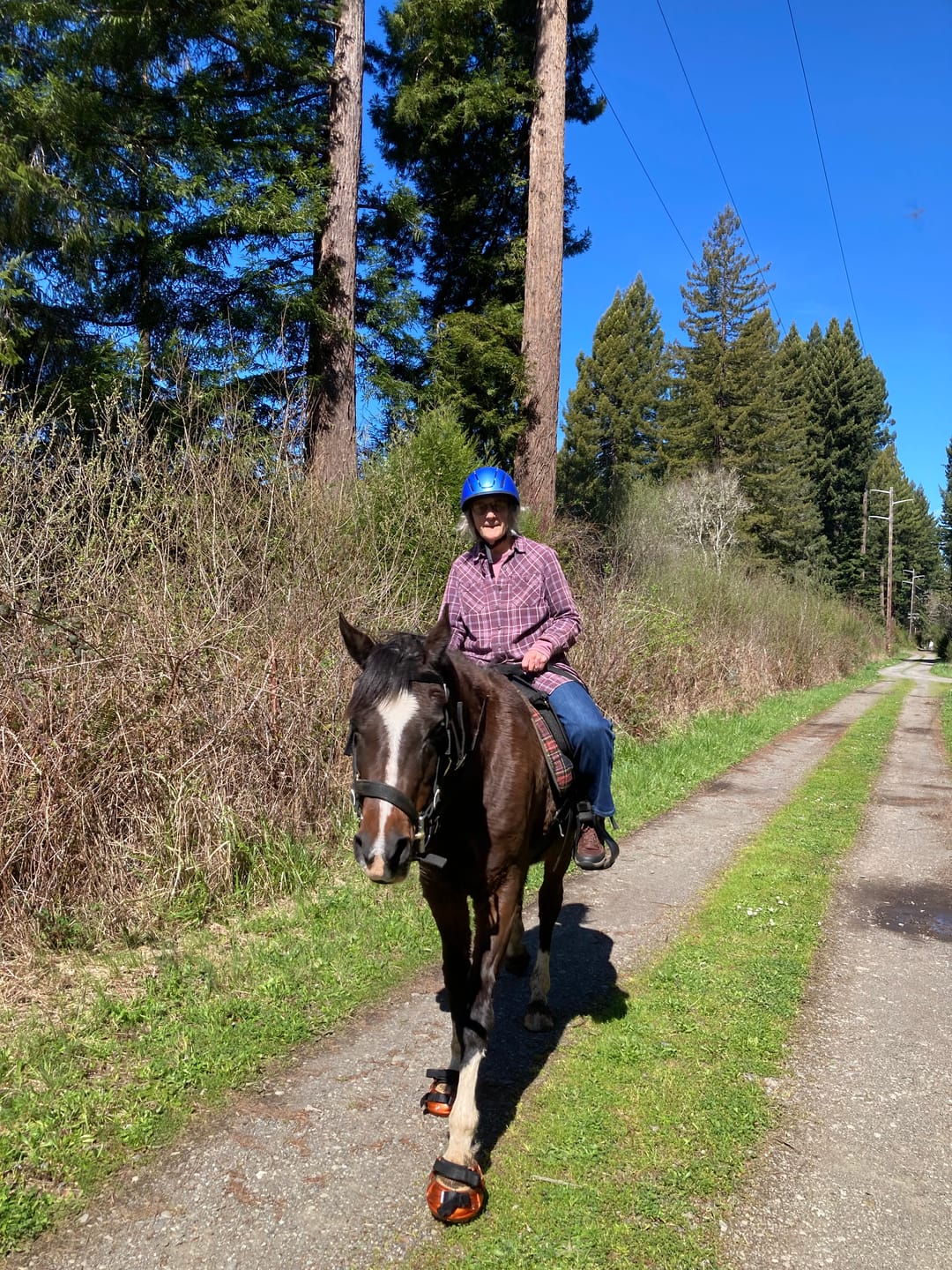 Customer photo review of Classic Captivator Swap