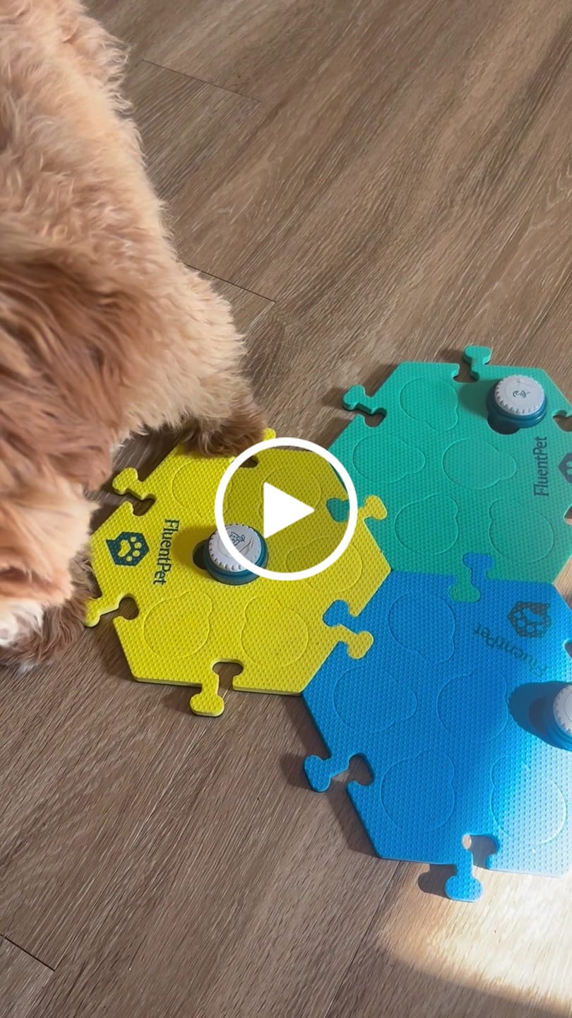 Customer video review of Get Started Kit