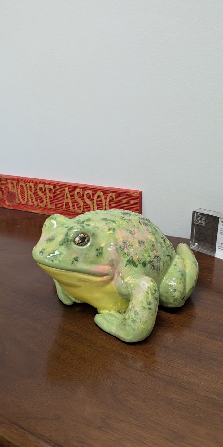 Customer photo review of Wartley the Happy Frog