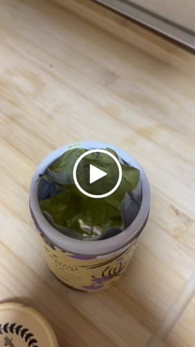 Customer video review of Té Matcha Premium Vainilla