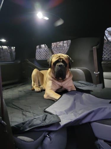 Customer photo review of SUV Cargo Liner for Fold Down Seats - Large