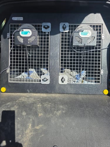 Customer photo review of Pro-Cool Rechargeable Dog Crate Fan
