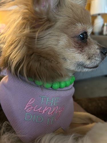 Customer photo review of Custom Embroidered Bandana