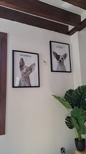 Customer photo review of Portrait Simpliste
