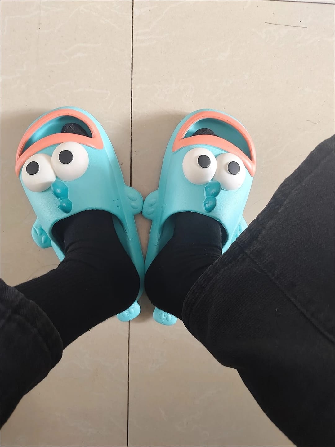 Customer photo review of Snappy Fish Slides 🐟🌴⛱️