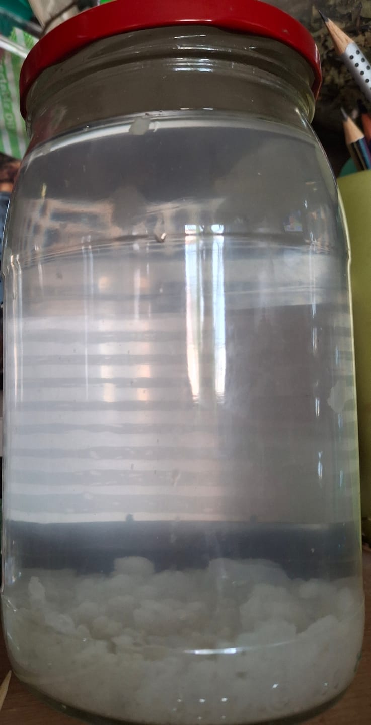 Customer photo review of BIO Wasserkefir-Kickstart: Potente Japankristalle (20g)