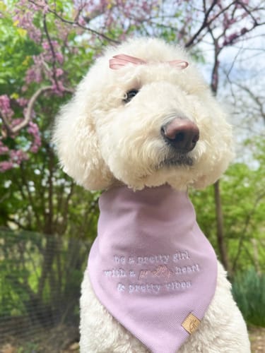 Customer photo review of Custom Embroidered Bandana