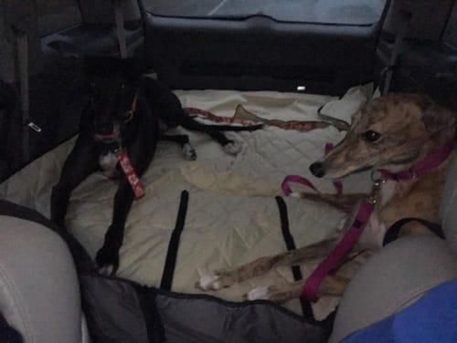 Customer photo review of SUV Cargo Liner for Fold Down Seats - Large