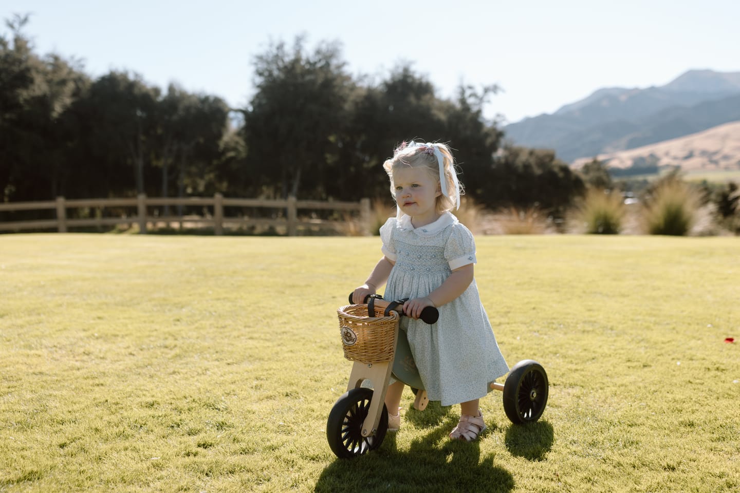Customer photo review of Blue Daisy Hand-Smocked  Dress