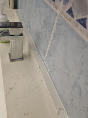 Customer photo review of Mold Remover Gel (1 pcs)