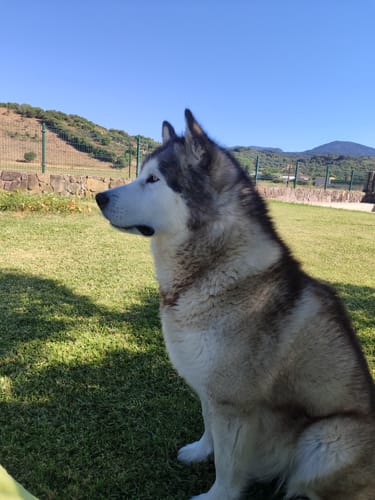 Customer photo review of Light