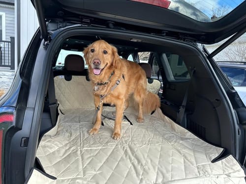 Customer photo review of SUV Cargo Liner for Fold Down Seats - Large
