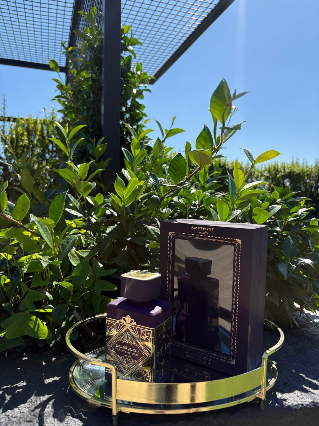 Customer photo review of Bade'e Al Oud Amethyst Lattafa Perfumes