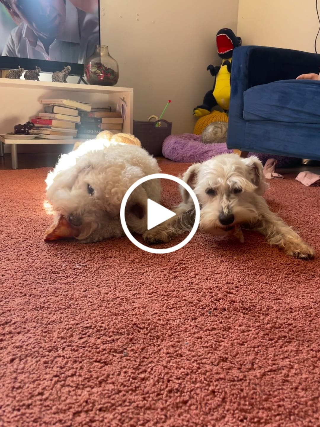 Customer video review of Oreja de cerdo