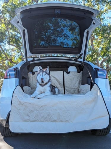 Customer photo review of SUV Cargo Liner for Fold Down Seats - Large