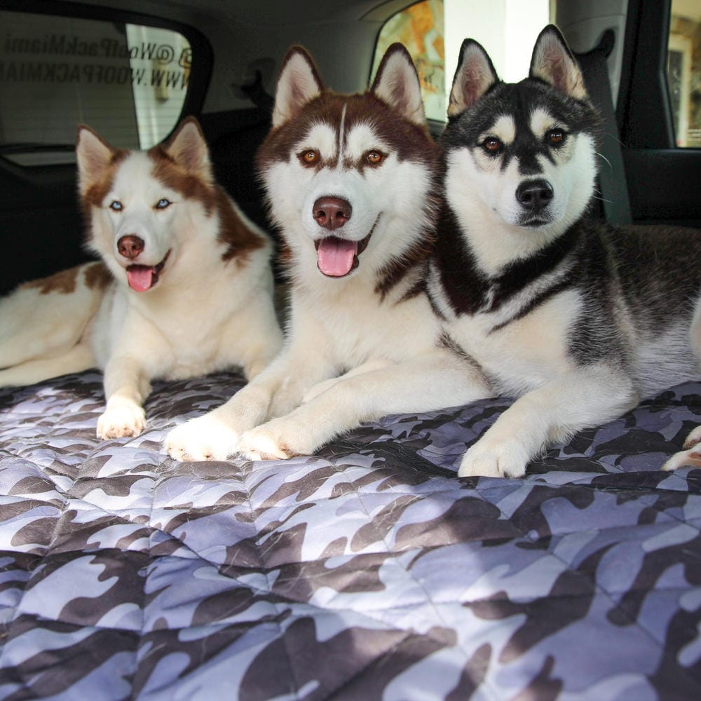 Customer photo review of Cargo Liner for SUVs - Large