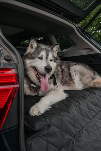 Customer photo review of SUV Cargo Liner for Fold Down Seats - Large
