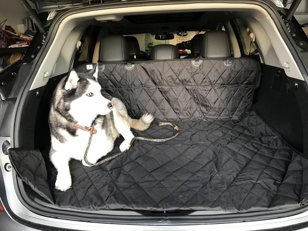 Customer photo review of Cargo Liner for SUVs - Large