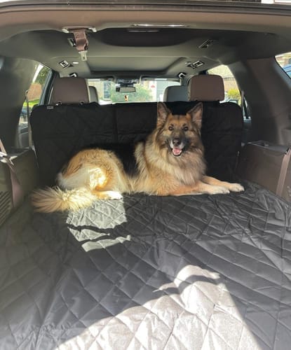 Customer photo review of SUV Cargo Liner for Fold Down Seats - Large