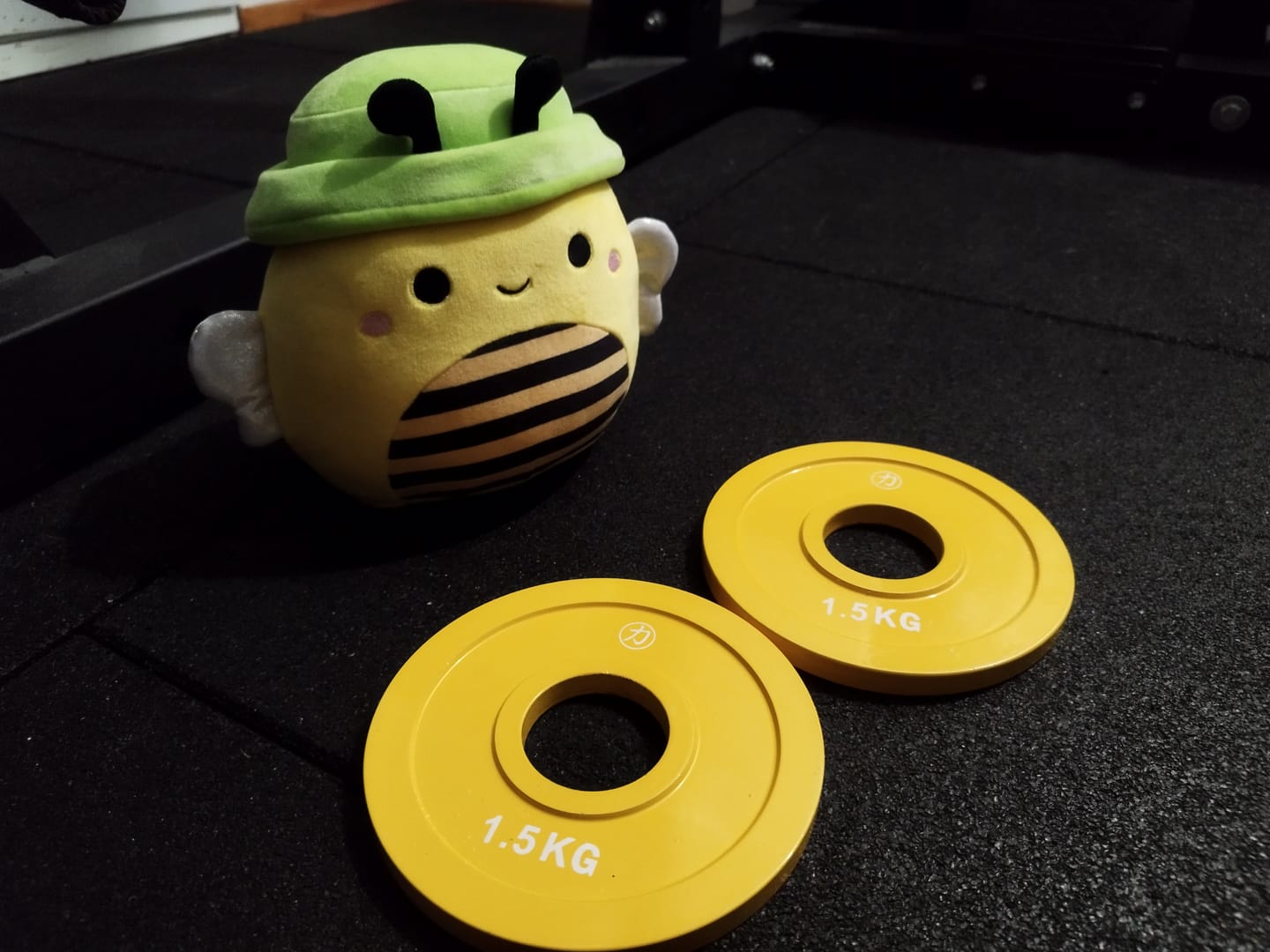 Customer photo review of Olympic Extra Thin Competition Style Steel Plates 0.5kg - 2.5kg - Coloured