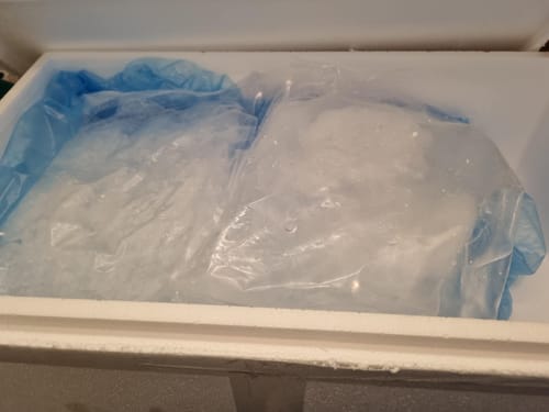 Customer photo review of 5KG Snapper Fillets (Skinned and Boned) Frozen