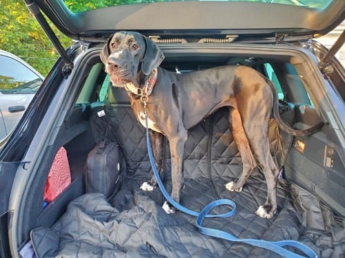 Customer photo review of SUV Cargo Liner for Fold Down Seats - Large