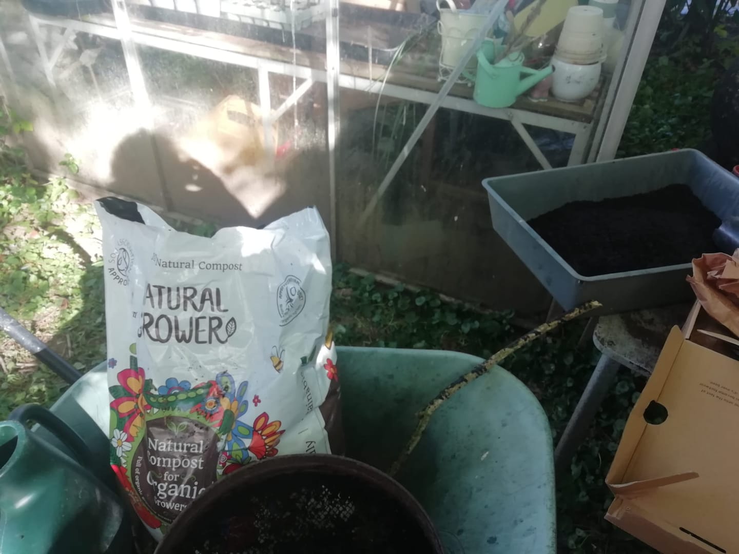Customer photo review of Buy 4 bags of Compost and get a Pouch of Feed for FREE!