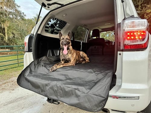 Customer photo review of SUV Cargo Liner for Fold Down Seats - XL