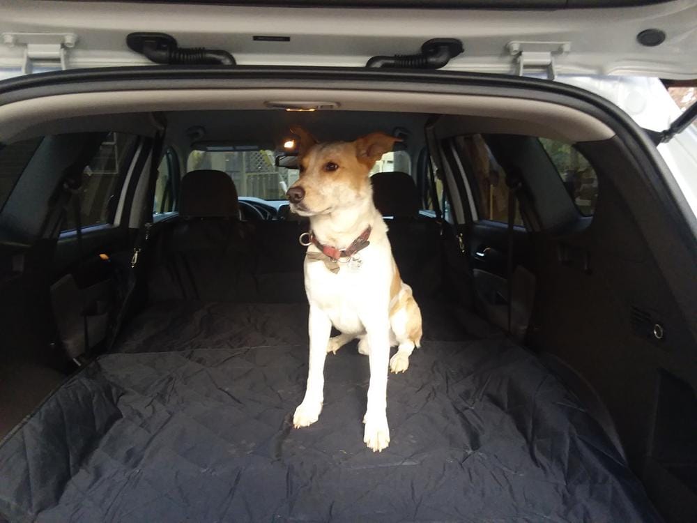 Customer photo review of Cargo Liner for SUVs - Large