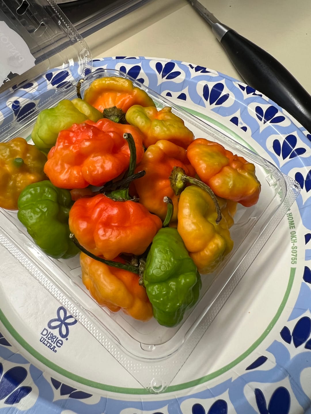 Customer photo review of Ají Cachucha, Ají dulce