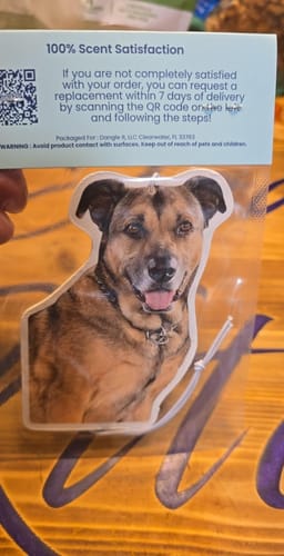 undefined review of Custom Air Freshener image 1 out of 2