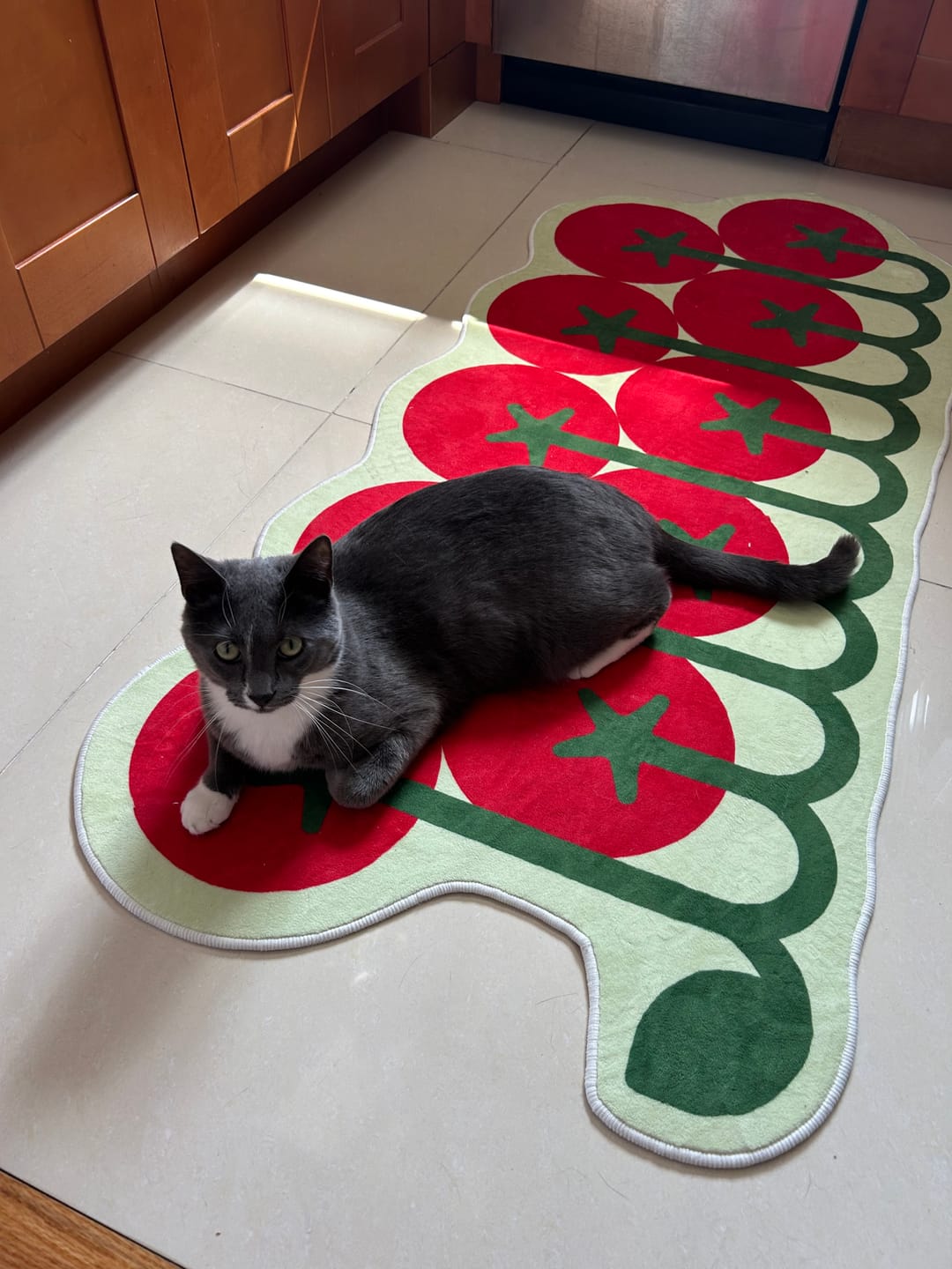 Customer photo review of Irregular Tomato Runner Rug by Johann Banta