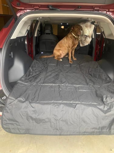 Customer photo review of SUV Cargo Liner for Fold Down Seats - Large