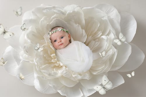 Customer photo review of Butterfly Dreams Overlay Pack