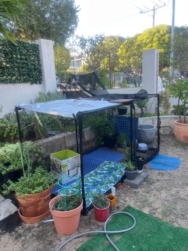 Customer photo review of Shade Sail For The Cat Cabana Cat Enclosure