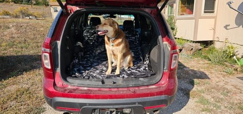 Customer photo review of SUV Cargo Liner for Fold Down Seats - Large