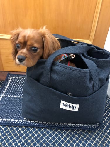 Customer photo review of Midnight┃The Bouclé Carrier