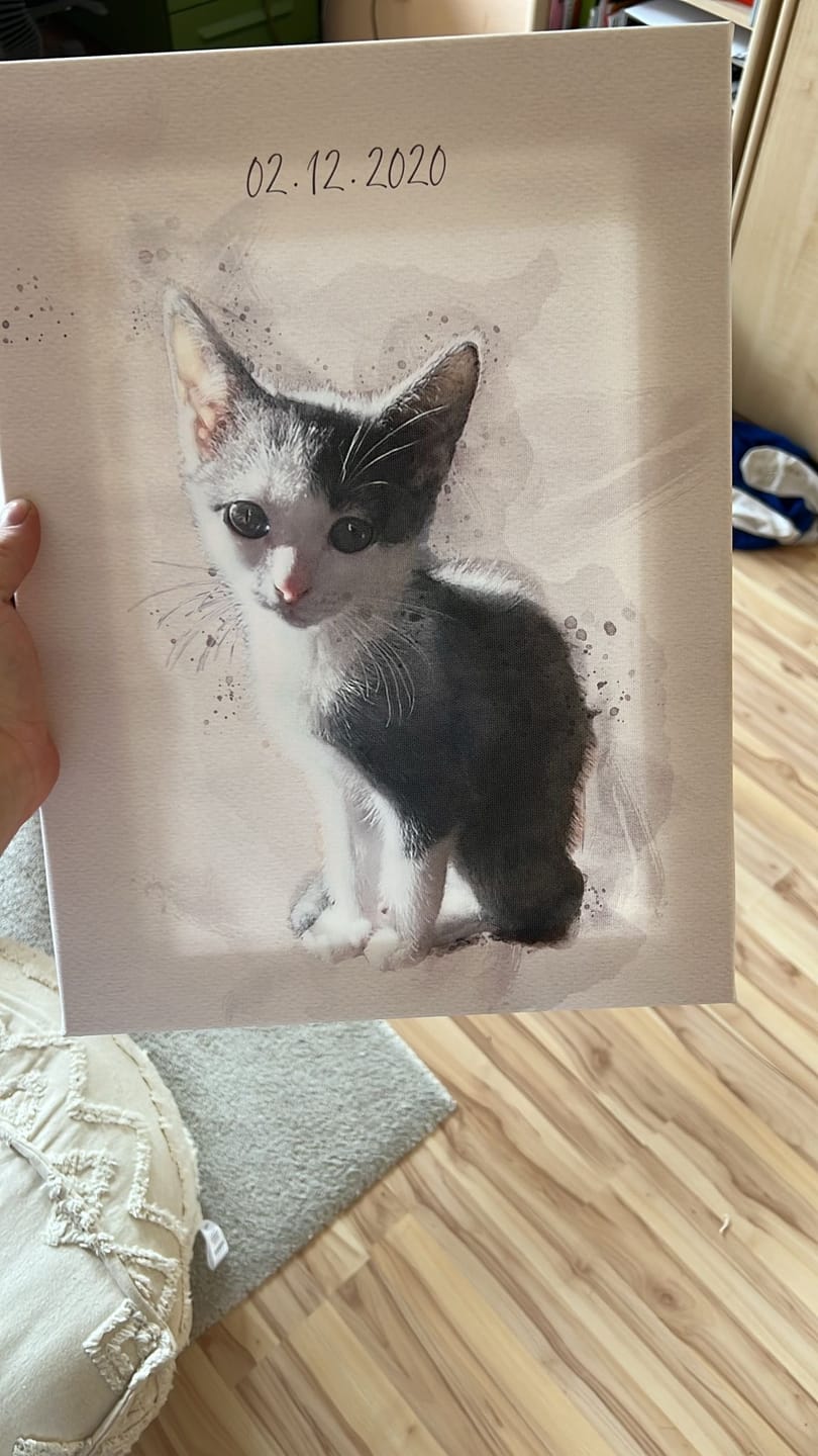 Customer photo review of Katzenportrait nach Foto