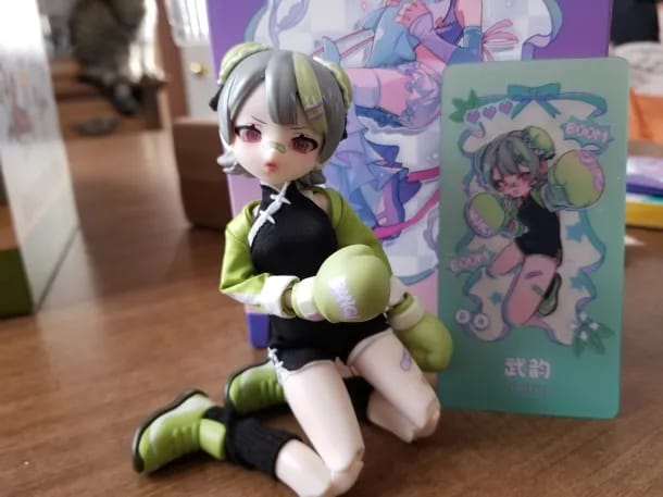 Customer photo review of Eve Lynna Dream Paradise Series Action Figure Blind Box