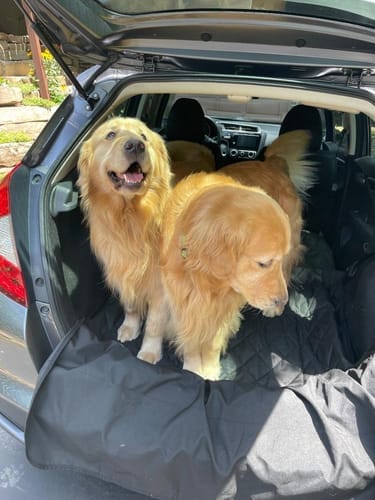 Customer photo review of SUV Cargo Liner for Fold Down Seats - XL