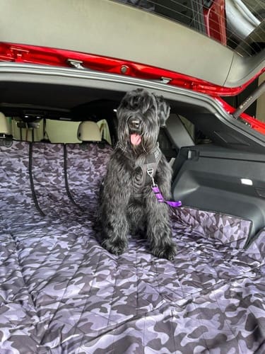 Customer photo review of SUV Cargo Liner for Fold Down Seats - Large