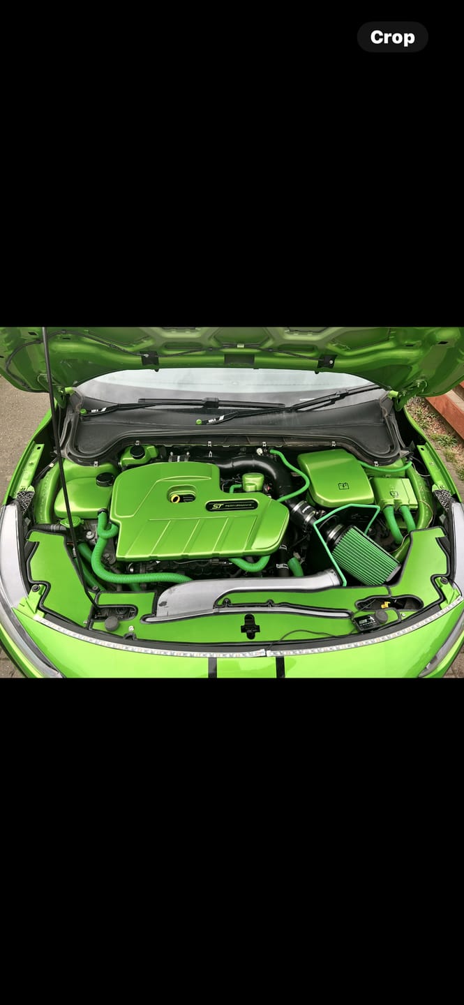 Customer photo review of Proform Mk4.5 Focus Slam Panel Cover (Plastic Finishes)