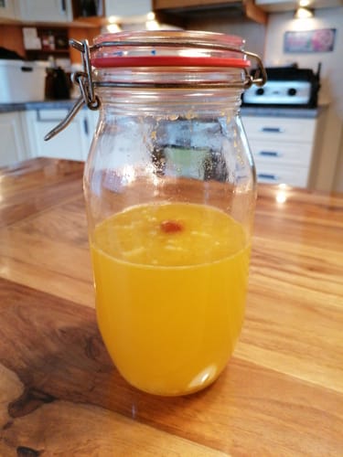 Customer photo review of BIO Wasserkefir-Kickstart: Potente Japankristalle (20g)