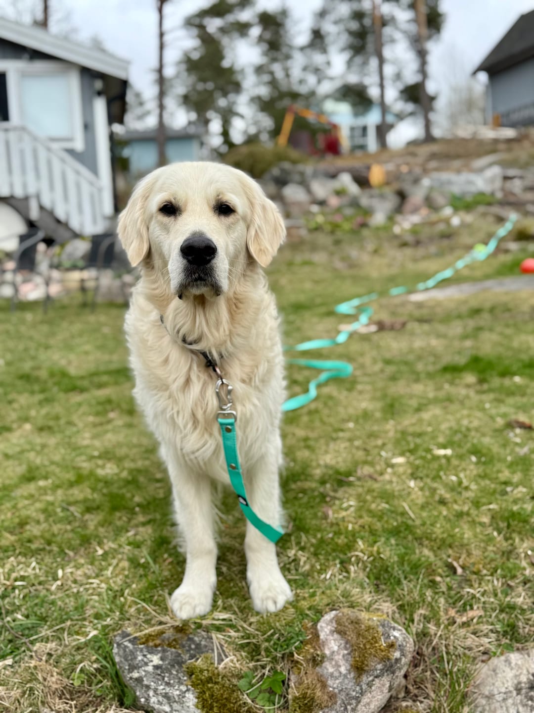 Customer photo review of Spårlina 10 m och 15 m - 16 olika färger