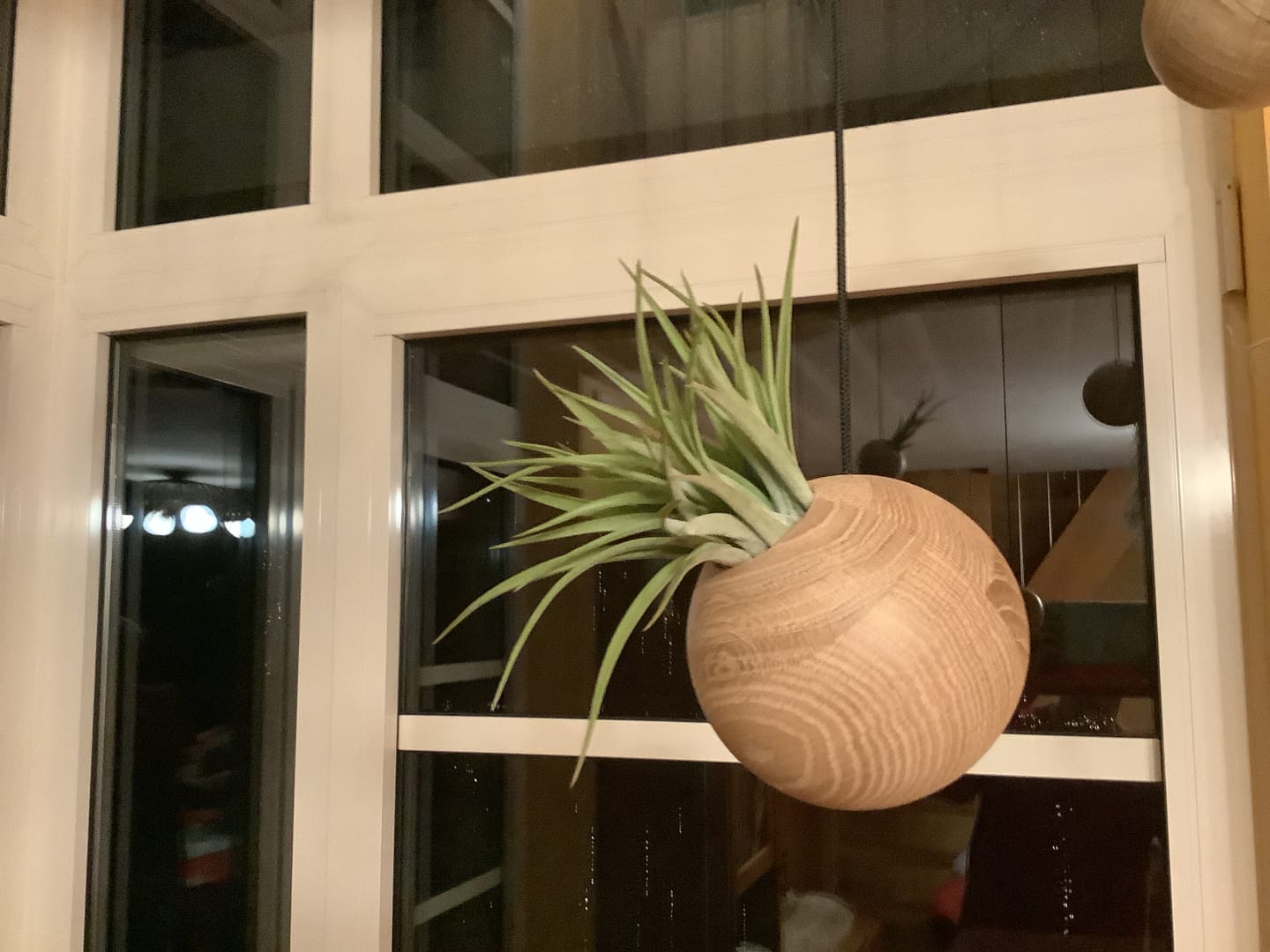 Customer photo review of Tilly Xylo Globus