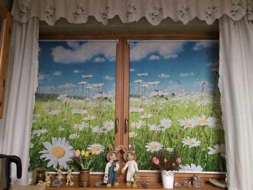 Customer photo review of Foto Rollo Klemmfix "Gänseblühmchenwiese"